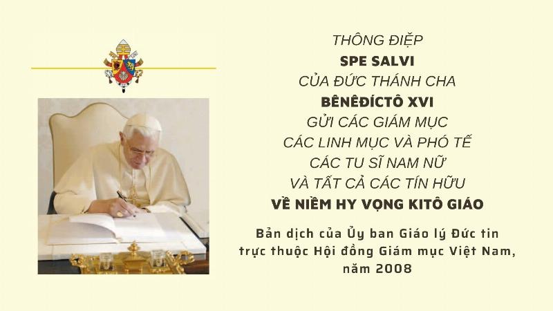 Cum hoa Chuong Tuyet trang nho no duoi tuyet bieu tuong hy vong cho nguoi sinh 31 1