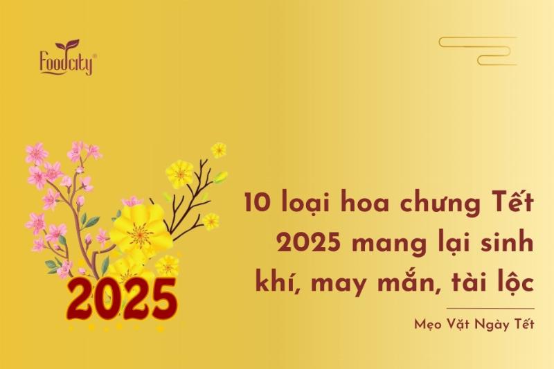 Chậu hoa Cúc vàng tươi tắn, biểu tượng của sự trường thọ và tài lộc dồi dào, phù hợp với phong thủy người mệnh Kim.