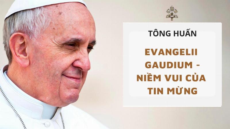 Nhieu bong hoa hong do tham no ruc, canh day, mau sac dam sau, the hien tinh yeu manh liet, sau lang phu hop voi nguoi sinh 16/11 cung Ho Cap.