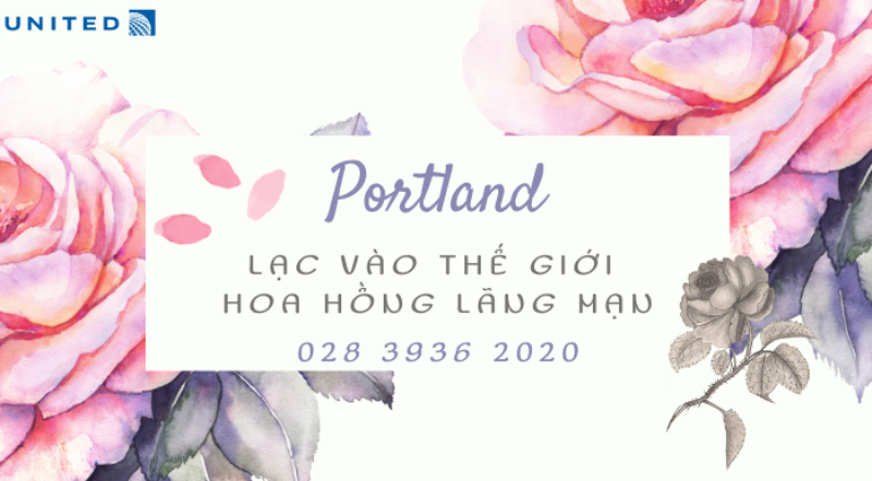 Một bó hoa hồng đỏ thắm rực rỡ dưới nắng hè, biểu tượng của tình yêu và niềm đam mê bất diệt