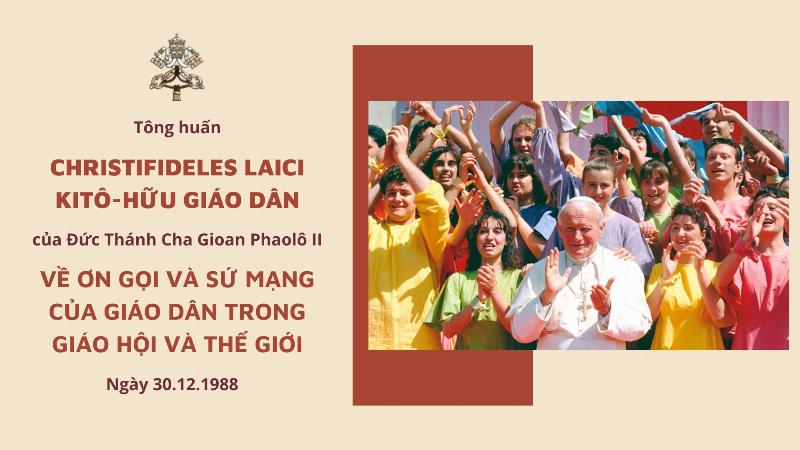 Hoa hướng dương rực rỡ nở rộ vào tháng bảy, biểu tượng của niềm vui và hy vọng cho ngày 12/7.