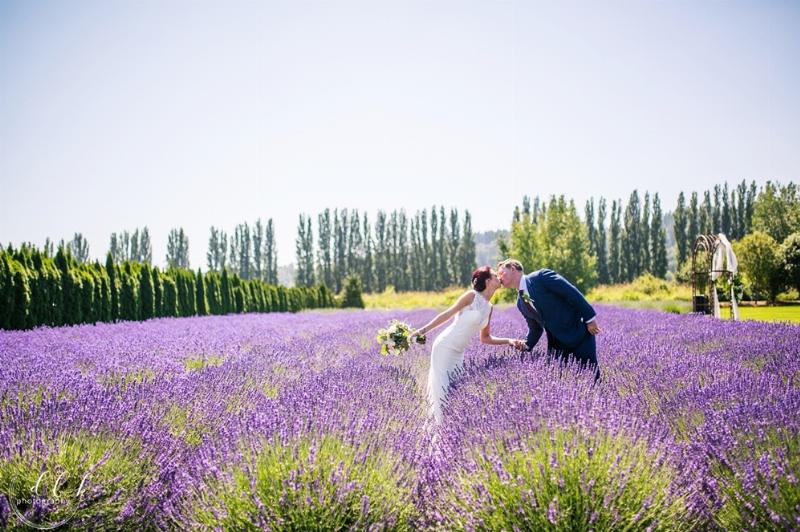 Cánh đồng hoa lavender tím ngát mang lại cảm giác thanh tịnh và tập trung cho tuổi học trò