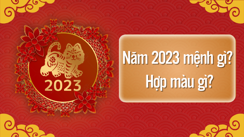 Hoa Ly vàng rực rỡ, tượng trưng cho sự thịnh vượng và may mắn cho nữ sinh năm 1971 mệnh Kim.