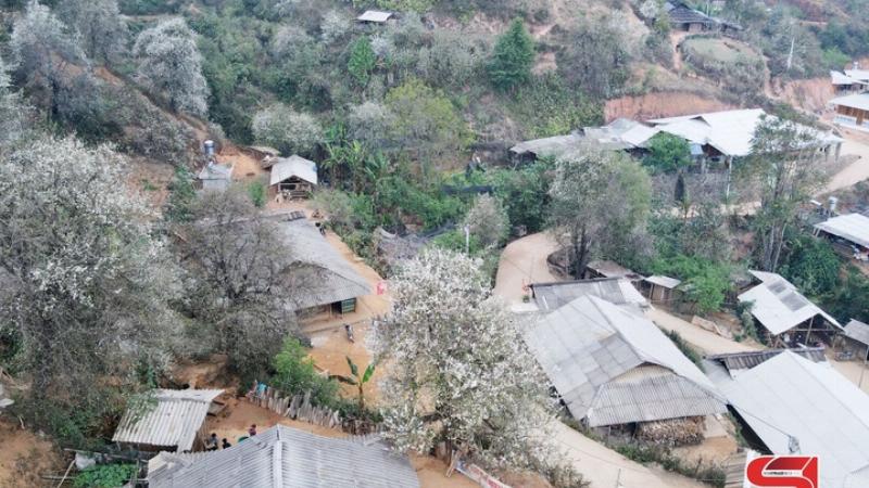 Bong hoa mau don mau do tham no ro, dep quyen ru, the hien su dam me va quyen luc cua nguoi sinh ngay 16/11 cung Ho Cap.