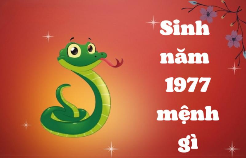 Hình ảnh minh họa các loại hoa tươi của Thanh Thảo được sắp xếp theo từng con giáp hoặc màu sắc gợi ý từ tử vi tuần, thể hiện sự kết hợp thực tế