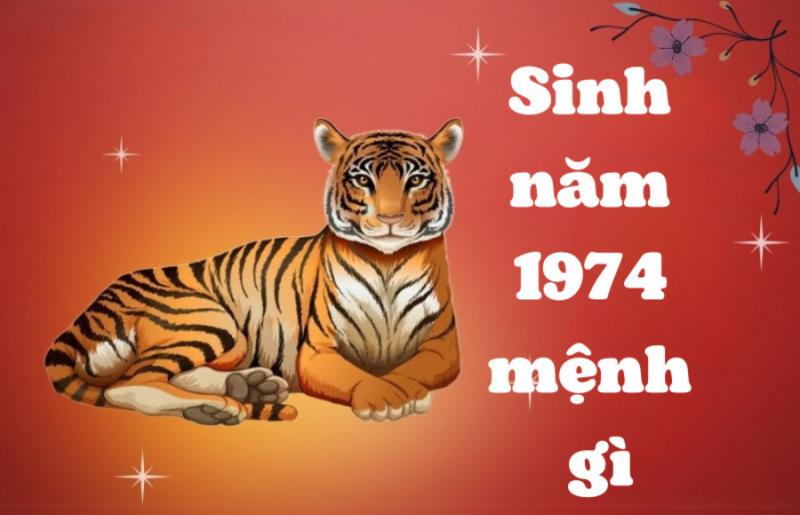Gợi ý cách kết hợp các loại hoa khác nhau khi tặng quà cho người sinh ngày 8 tháng 5.