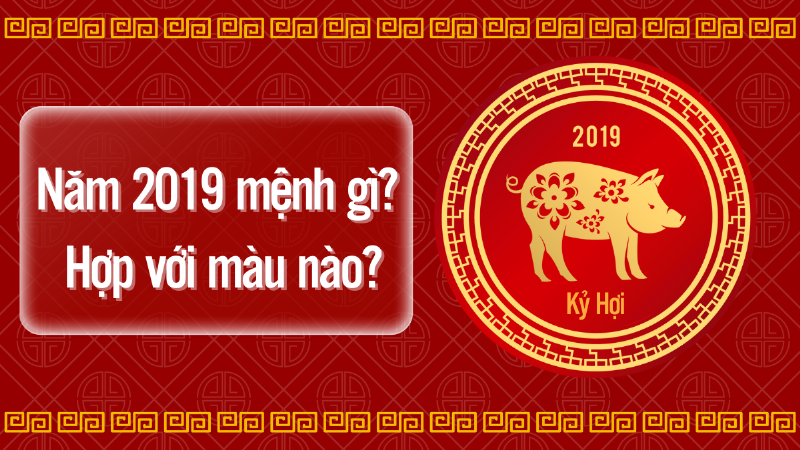 Sự kết nối giữa tuổi Kỷ Hợi, các yếu tố thời gian và việc lựa chọn hoa phù hợp.