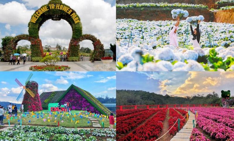 Khu vườn hoa 5 mét vuông nhỏ xinh được quy hoạch tỉ mỉ với nhiều loại hoa tươi rực rỡ, tối ưu không gian
