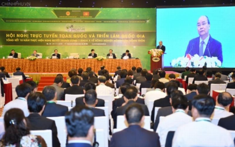 Hình ảnh minh họa việc chăm sóc cây hoa một cách kỹ càng, tưới nước đúng cách và tỉa lá úa