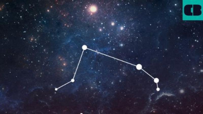 Lựa chọn những bông hoa phù hợp nhất cho người sinh ngày 8 tháng 5 thuộc cung Kim Ngưu.