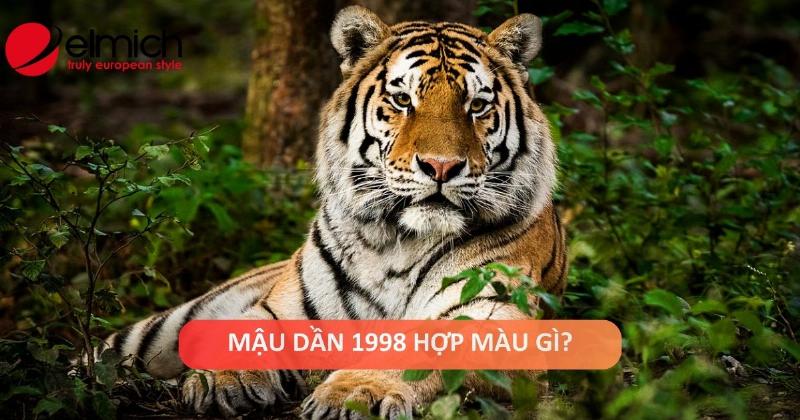 Hình ảnh các loại hoa phong thủy mang lại tài lộc và may mắn cho người Mậu Dần 1998, kết hợp màu sắc hợp mệnh và ý nghĩa tốt đẹp.