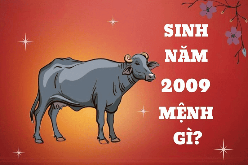 Người sinh năm 2009 mệnh Kỷ Sửu, thuộc hành Hỏa, nạp âm Tích Lịch Hỏa, thể hiện sự mạnh mẽ và kiên cường