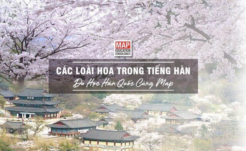 Bình hoa kết hợp cẩm chướng, holly và thủy tiên, gợi ý cho người sinh 12/12