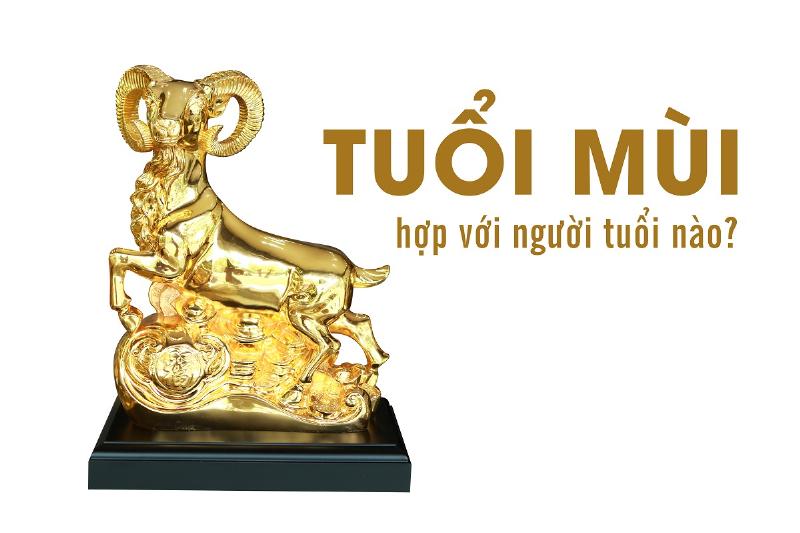Những thách thức hôn nhân giữa tuổi Thìn và tuổi Mùi, sự khác biệt tính cách