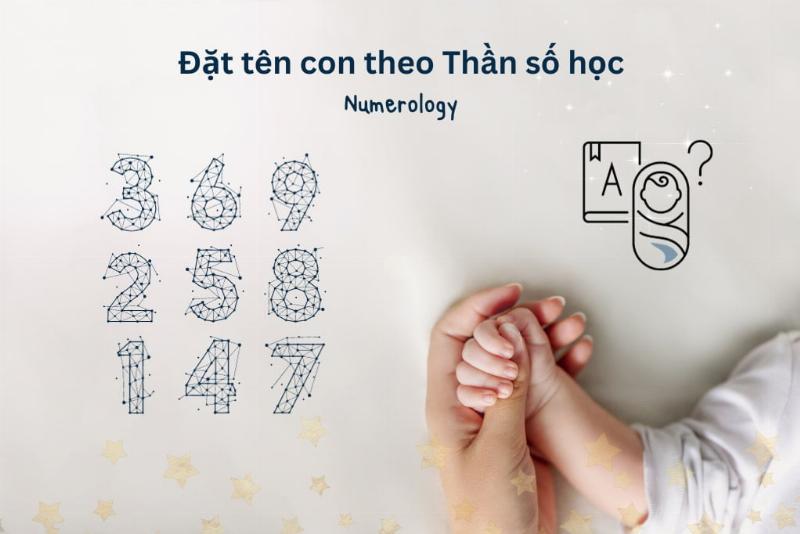 Hình ảnh minh họa các đặc điểm tính cách khác nhau dựa trên con số thái độ trong nhân số học