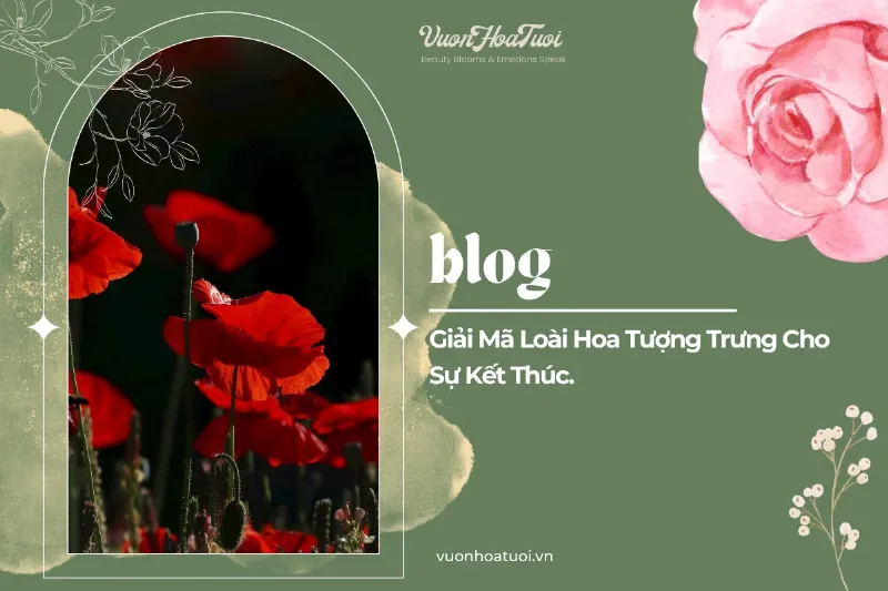 Tuổi 14 giai đoạn chuyển tiếp biểu tượng đóa hoa sắp nở rộ