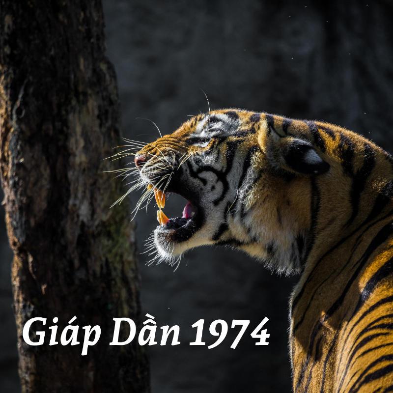 Ý nghĩa của người sinh năm 1975 mệnh Thủy và sự liên kết với thế giới hoa tươi
