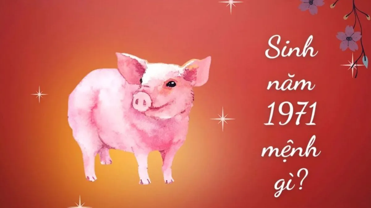 Người sinh năm 1971 tuổi Tân Hợi thuộc mệnh Kim