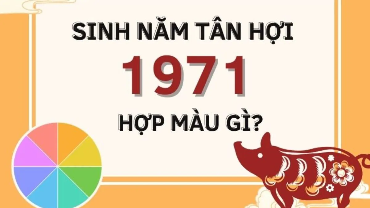 Màu sắc phong thủy hợp và kỵ với người tuổi Hợi 1971