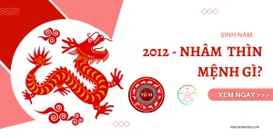 Người sinh năm 2012 tuổi Nhâm Thìn và đặc điểm tính cách
