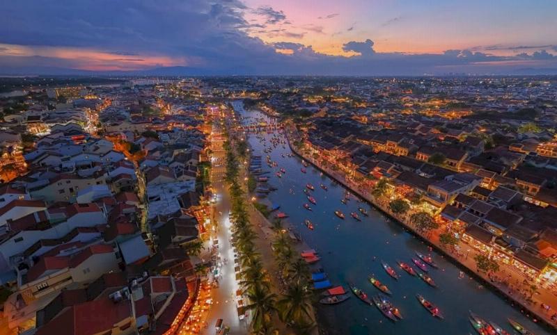 Hướng dẫn chi tiết cách chọn và bảo quản hoa tươi để giữ hoa bền lâu, phù hợp với ngân sách mua hoa từ 100 USD