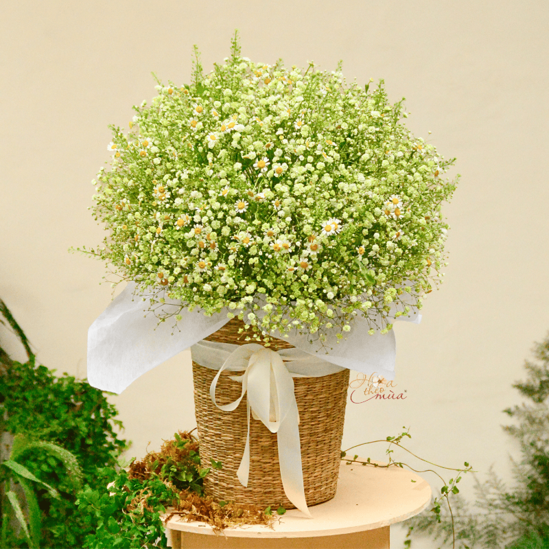 Chọn hoa tươi phù hợp cho tuổi 2k10, những món quà ý nghĩa qua từng cánh hoa