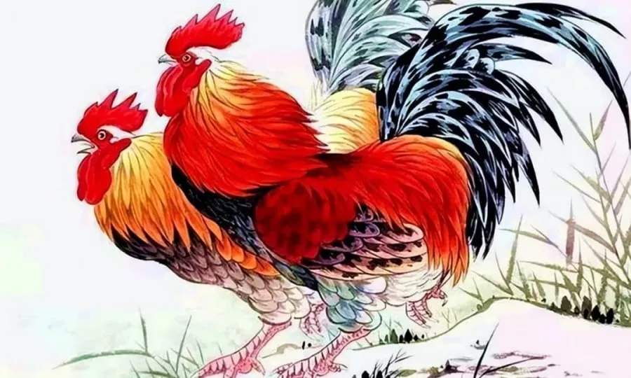 Vận may tài lộc của tuổi Dậu sau ngày 17 tháng 8 Dương lịch