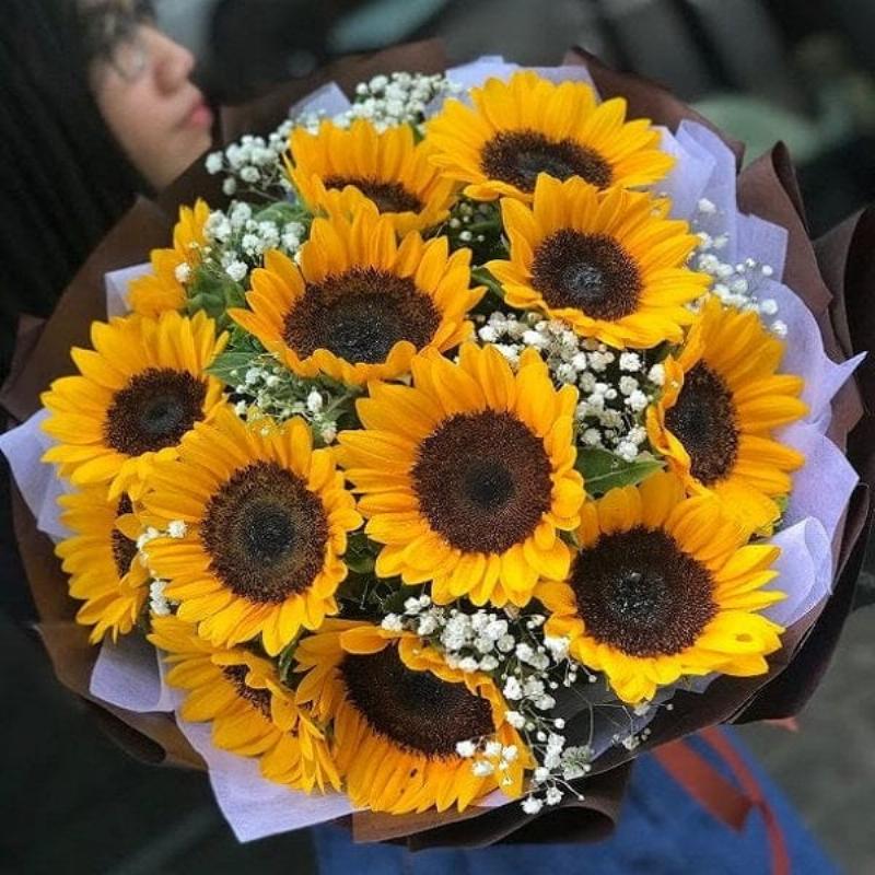 Hoa Hướng Dương với sắc vàng rực rỡ biểu tượng của năng lượng và sự sống mãnh liệt