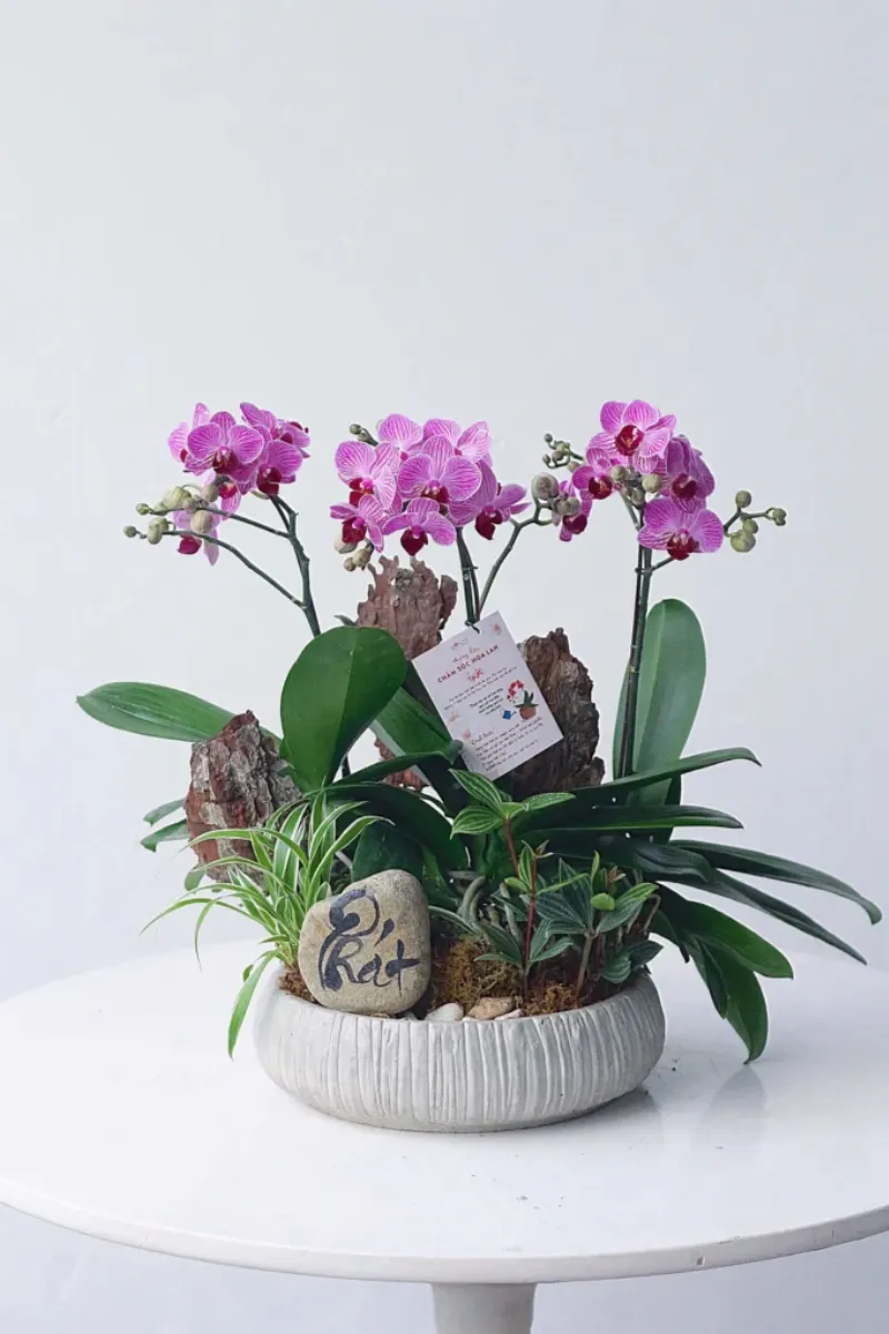 Một lẵng hoa tươi sang trọng kết hợp hoa lan hồ điệp tím, hoa hồng cam và các loại lá xanh phong thủy, đặt trên bàn gỗ, phù hợp cho người mệnh Hỏa sinh năm 2017.
