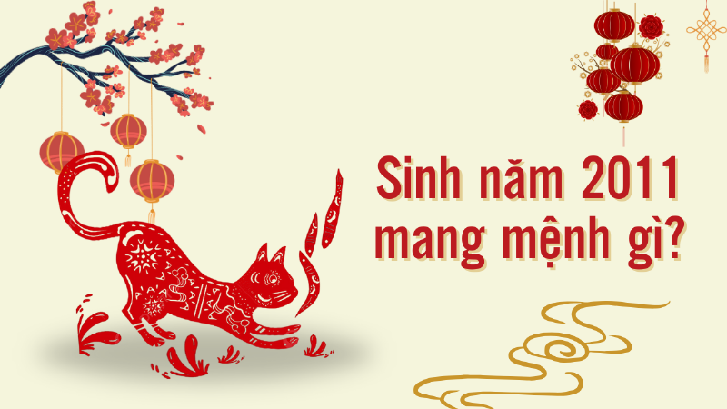 Hướng dẫn chọn hoa tươi phù hợp dựa trên tính cách và mệnh của người tuổi Tân Mão 2011