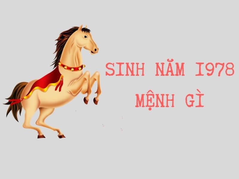 Những sắc màu xe may mắn nhất cho chủ xe Mậu Ngọ 1978 để thu hút tài lộc và bình an