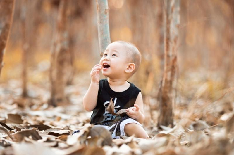 Người tuổi Giáp Thìn mệnh Hỏa Phú Đăng Hỏa với tính cách mạnh mẽ, kiên định và nhiệt huyết