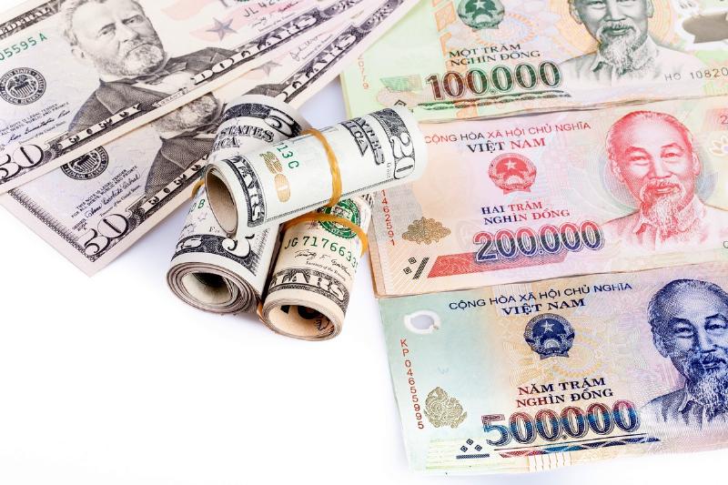 Bảng tỷ giá hối đoái USD sang VND hiển thị giá trị tiền tệ ảnh hưởng đến giá hoa tươi