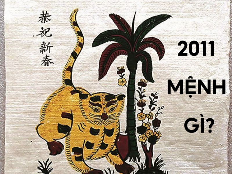 Tổng quan về ý nghĩa và đặc điểm tính cách của người tuổi Tân Mão 2011