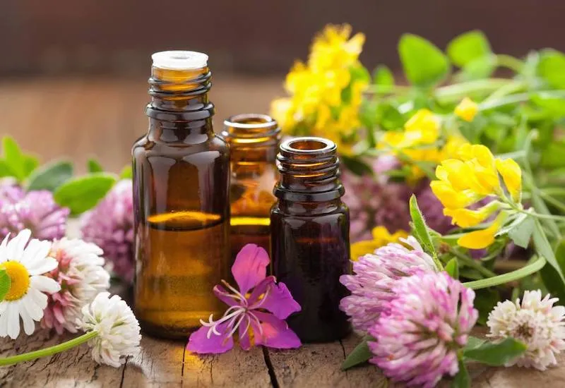 Lợi ích của tinh dầu thiên nhiên đối với sức khỏe và tinh thần