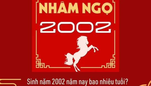 Bảng màu phong thủy hợp với người sinh năm 2002 tuổi Nhâm Ngọ