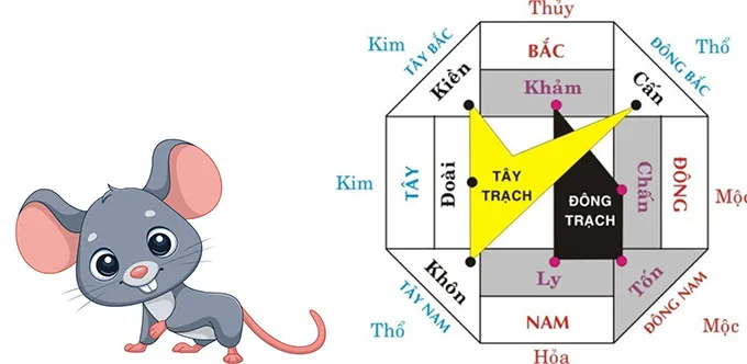 Hướng nhà phù hợp cho người sinh năm 1996 tuổi Bính Tý để thu hút tài lộc