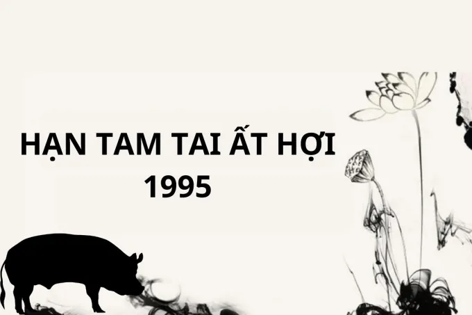 Bảng liệt kê các năm tam tai của người tuổi Ất Hợi sinh năm 1995