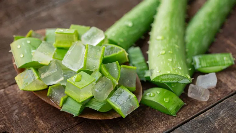 Gel nha đam tươi giúp dưỡng ẩm và giảm khô giòn cho móng tay