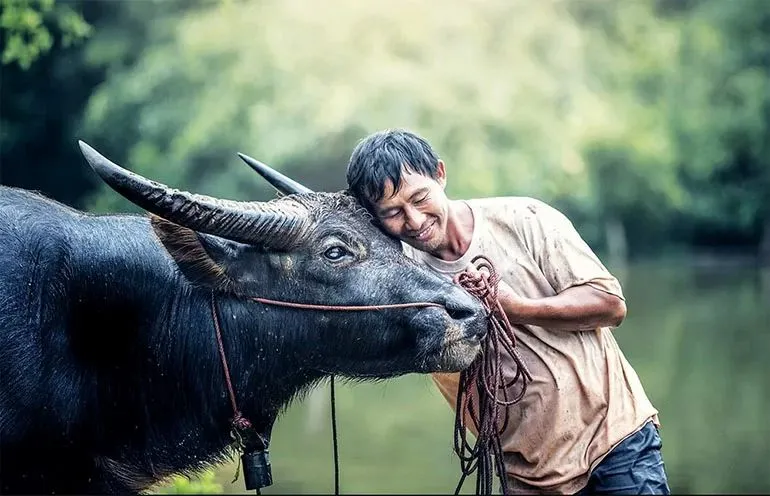 Nam Ất Sửu 1985 thường hướng nội, có chiều sâu suy nghĩ