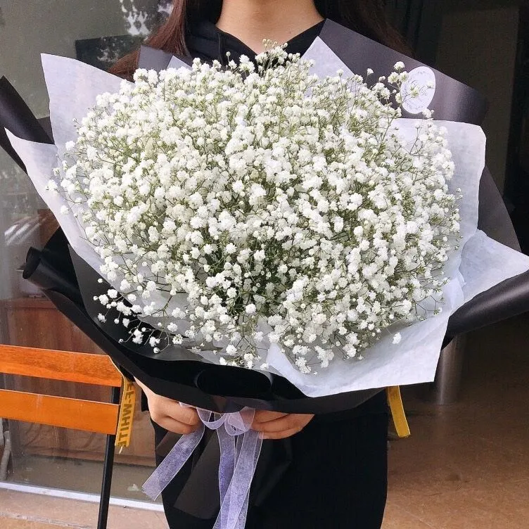 Bó hoa baby trắng tinh tế làm quà tặng ý nghĩa