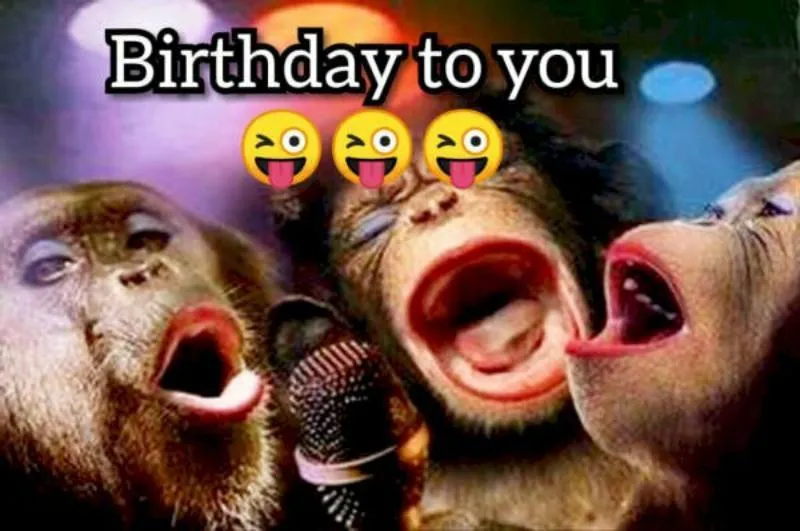 Meme chúc mừng sinh nhật lầy lội, hài hước