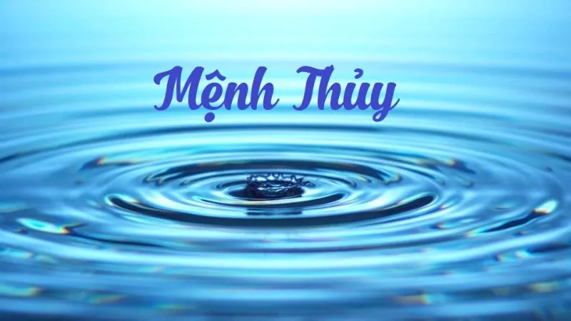 Người sinh năm Nhâm Tuất 1982 thuộc mệnh Thủy, nạp âm Đại Hải Thủy, biểu trưng cho sự mạnh mẽ.