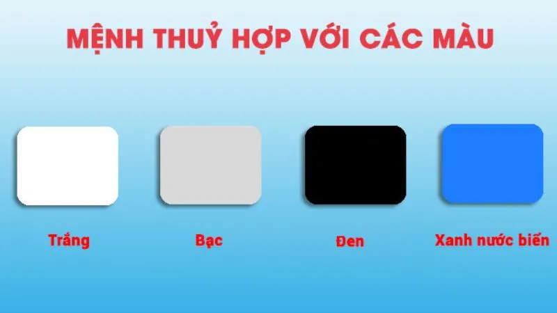 Biểu đồ màu sắc tương sinh cho tuổi Nhâm Tuất 1982 bao gồm trắng, bạc, xanh biển và đen.