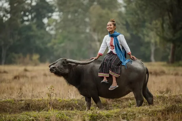 Tâm hồn lãng mạn và sự quan tâm chu đáo của nữ Ất Sửu sinh năm 1985
