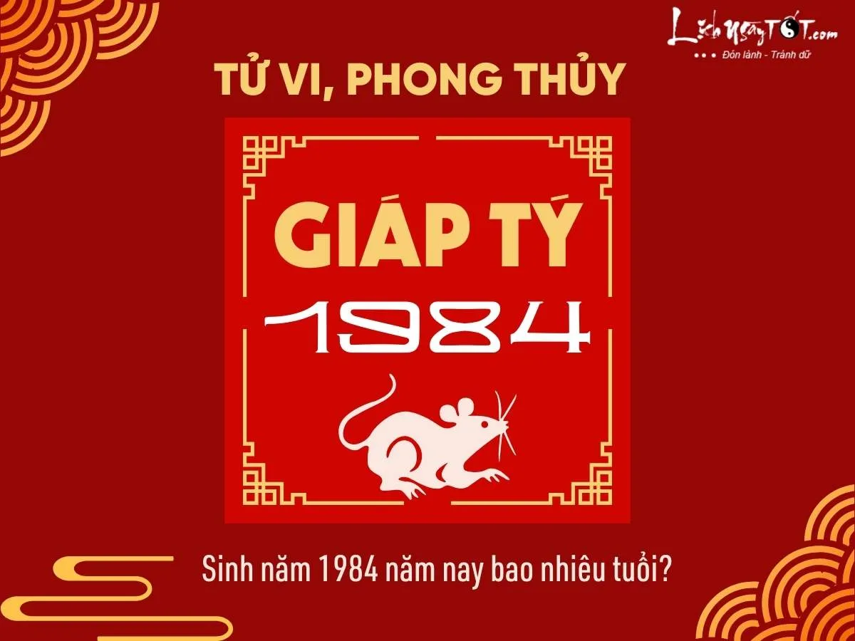 Hình ảnh người Giáp Tý sinh năm 1984 và tuổi của họ trong năm hiện tại