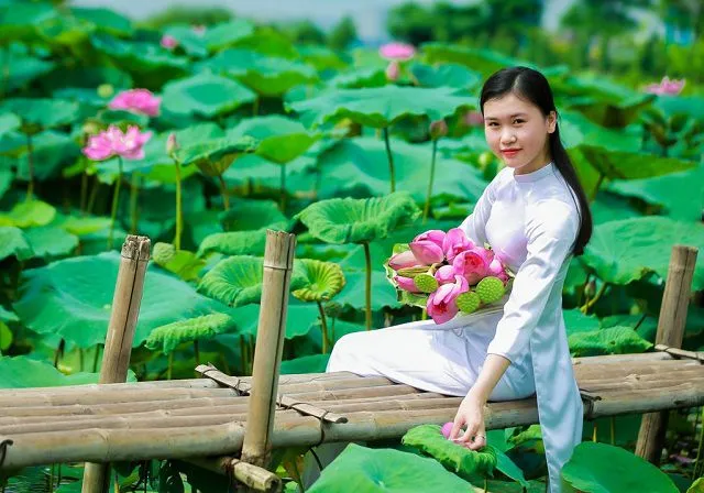 Thiếu nữ duyên dáng trong tà áo dài bên đầm sen hồng