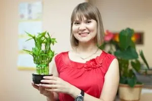 Bảng màu sắc hợp và kỵ với tuổi Đinh Dậu sinh năm 2017