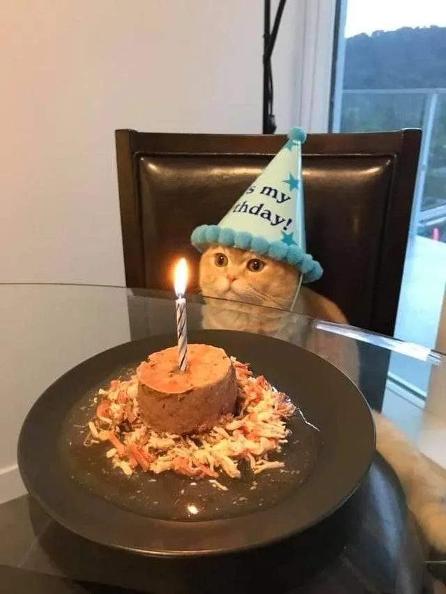 Tuổi mới mong giảm meme tăng não