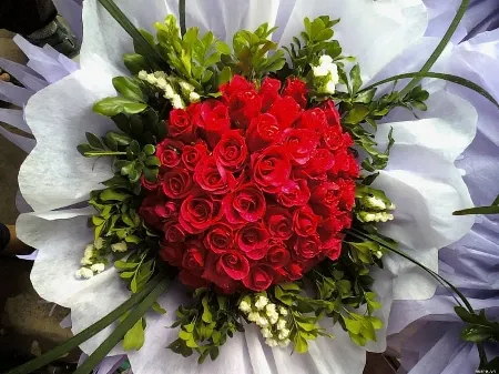 Bó hoa hồng đỏ tặng sinh nhật bạn trai